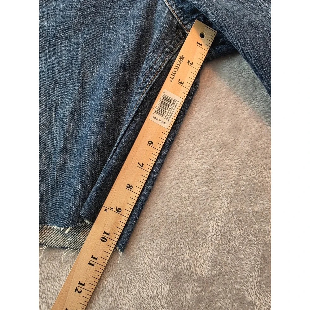 Levis levis 569